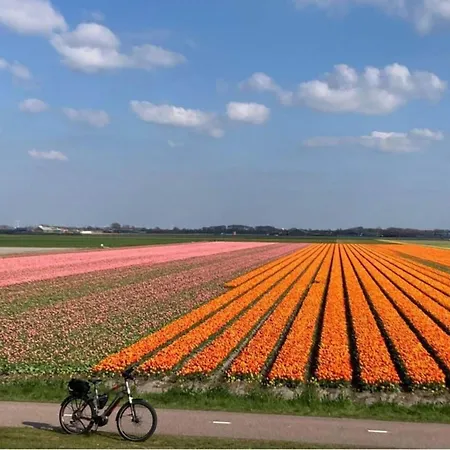 In Sint Maartenszee * Sint Maartensvlotbrug