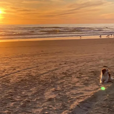 Ferienhaus In Sint Maartenszee