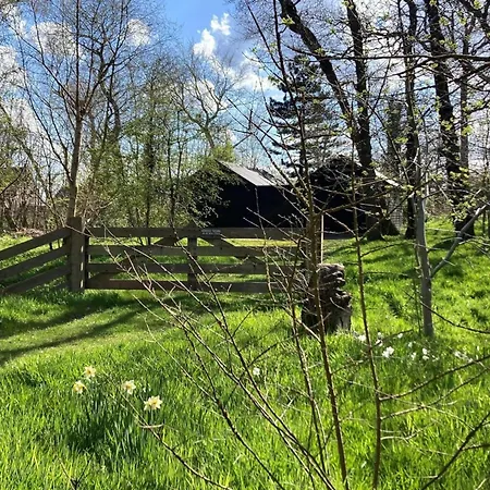 Ferienhaus In Sint Maartenszee Sint Maartensvlotbrug