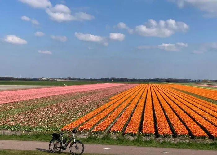 In Sint Maartenszee * Sint Maartensvlotbrug