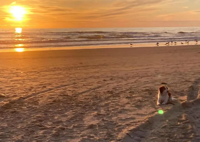 Feriehus In Sint Maartenszee