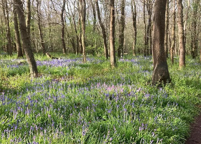 In Sint Maartenszee Sint Maartensvlotbrug