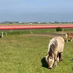 Ferienhaus In Sint Maartenszee *